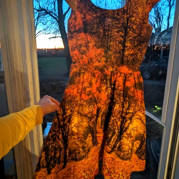 Retrolicious fall leaves art print vintage fit party dress small keyhole pinup - Picture 9 of 9